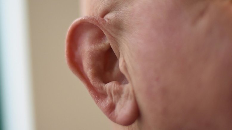 'Yanny' ou 'Laurel'? Áudio misterioso intriga internautas