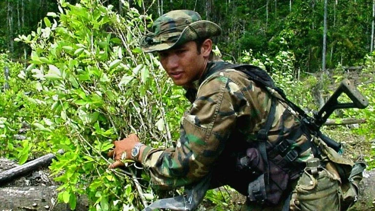 Área de cultivo de coca na Colômbia alcança seu maior nível em 2017