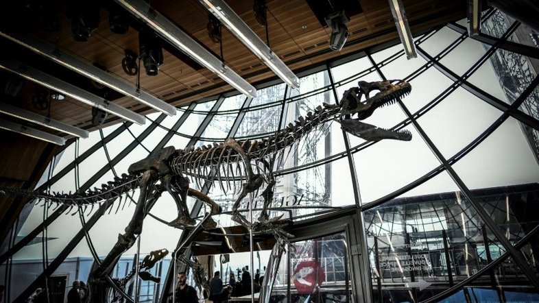 Esqueleto de dinossauro carnívoro é vendido por U$ 2,3 milhões em Paris