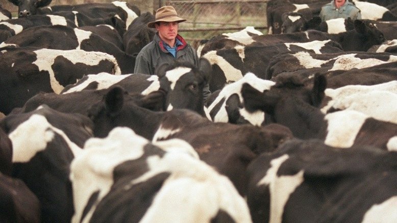 Brasil deve bater recorde de exportações de carne bovina em 2019, diz Rabobank