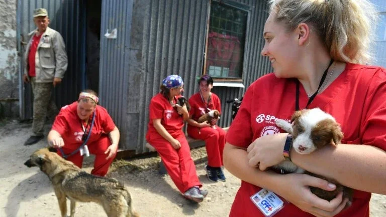 O sonho americano dos cães de Chernobyl
