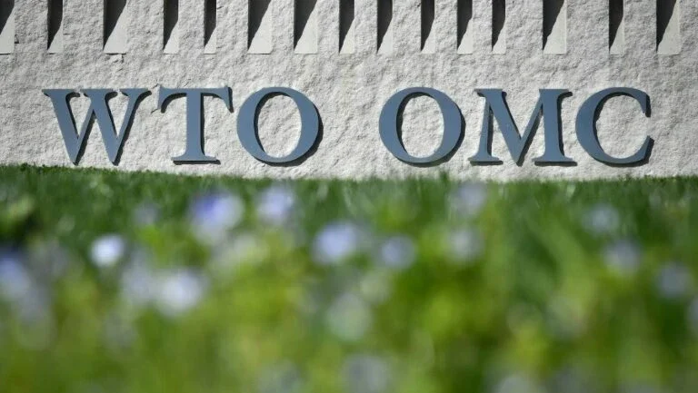 OMC: efeitos negativos das tarifas aduaneiras se manifestarão logo