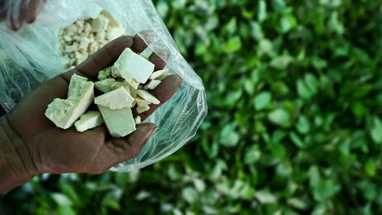 Peru desmonta laboratórios de drogas na fronteira com Colômbia e Equador