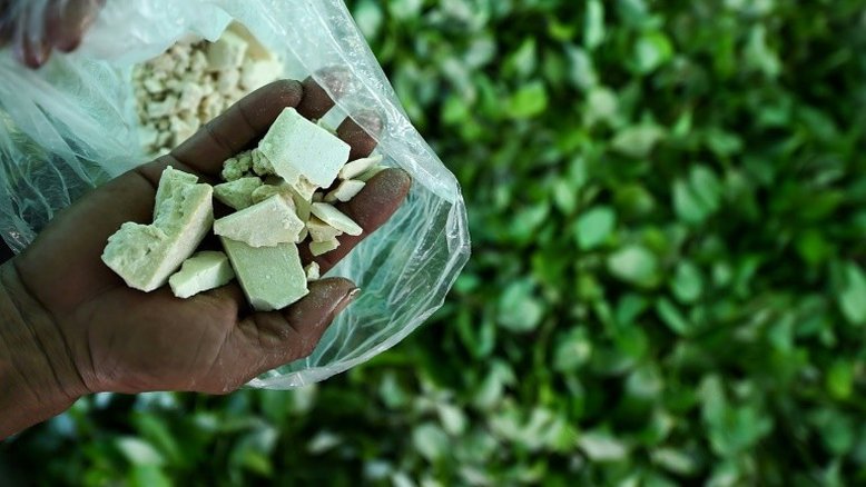 Peru desmonta laboratórios de drogas na fronteira com Colômbia e Equador