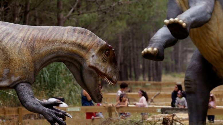 Pesquisadores reivindicam maior pata de dinossauro já descoberta