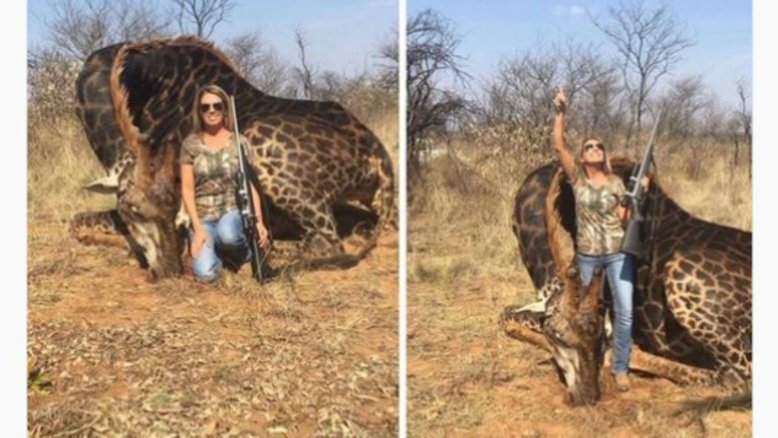 Caçadora posa para foto com girafa rara morta e causa revolta