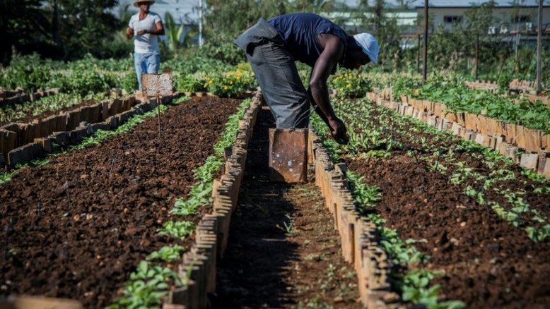 Governo lança linha de R$ 3 mi contra desperdício de alimentos