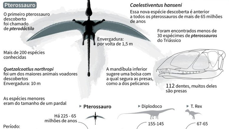 Cientistas revelam pterossauro de 200 milhões de anos 'feito para voar'