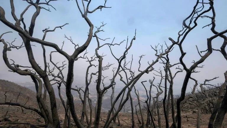 Enviados de Trump visitam Califórnia após incêndios