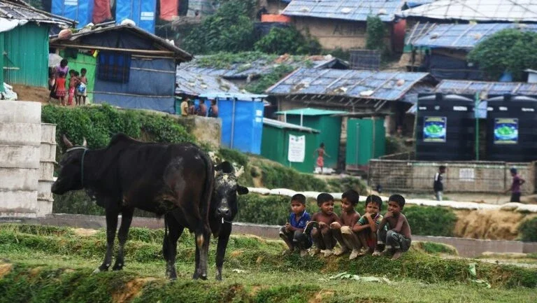 Um ano após perseguição em Mianmar, rohingyas celebram a Festa do Sacrifício