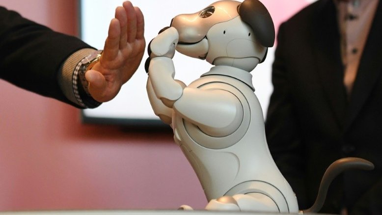 Sony venderá seu mascote com inteligência artificial nos EUA