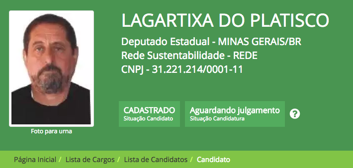 Homem de Ferro, Lagartixa e Bonitão: candidatos com nomes engraçados chamam atenção de internautas