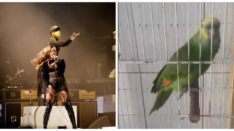 Reprodução/Instagram e Twitter