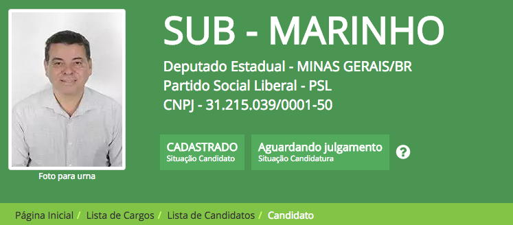 Homem de Ferro, Lagartixa e Bonitão: candidatos com nomes engraçados chamam atenção de internautas