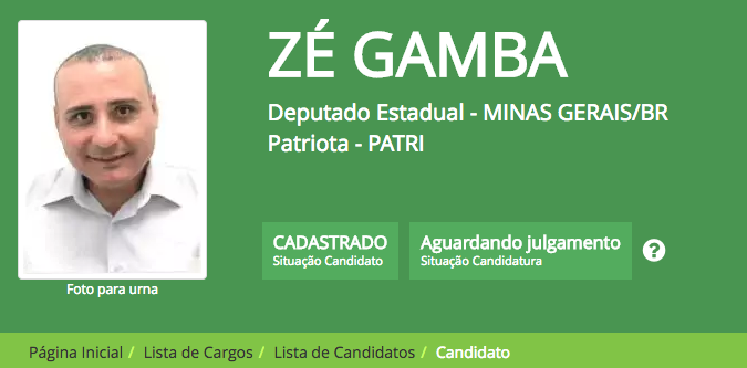 Homem de Ferro, Lagartixa e Bonitão: candidatos com nomes engraçados chamam atenção de internautas