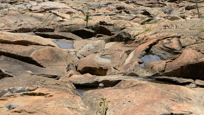 ONU alerta para 70% de chances do fenômeno El Niño até o fim do ano