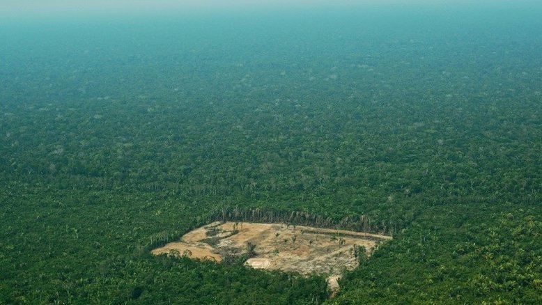 Alemanha retém doação de R$ 151 milhões para Fundo Amazônia