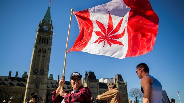 Maconha entra no currículo das faculdades no Canadá