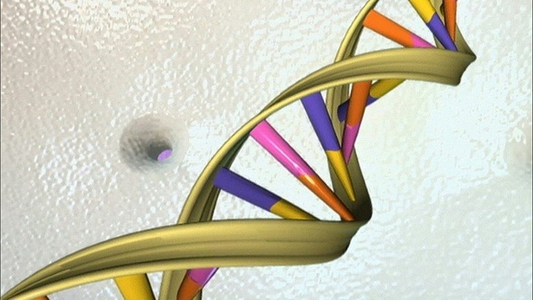 Pesquisadores identificam variante genética ligada à impotência sexual