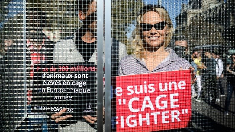 Pamela Anderson e Yannick Jadot enjaulados para denunciar o sofrimento animal