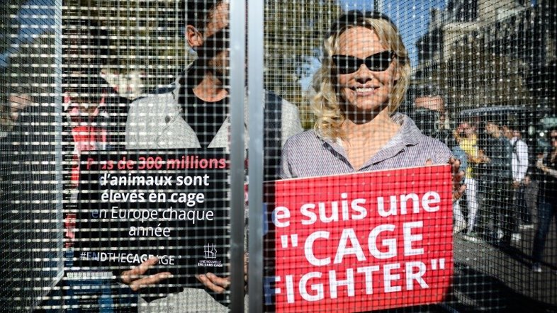 Pamela Anderson e Yannick Jadot enjaulados para denunciar o sofrimento animal
