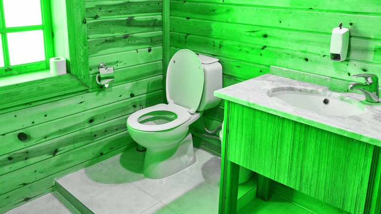 6 razões pelas quais você está fazendo cocô verde