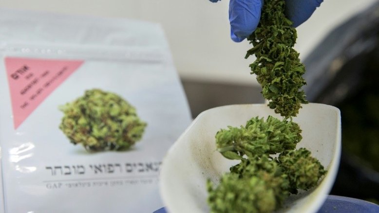 Israel autoriza exportação de cannabis para uso médico
