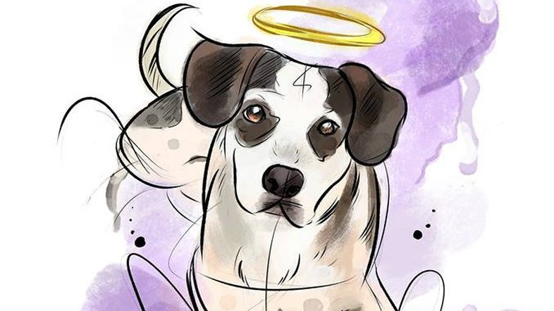 Reprodução / Instagram