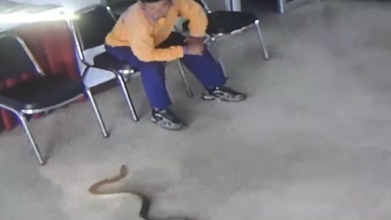 Reprodução/Youtube