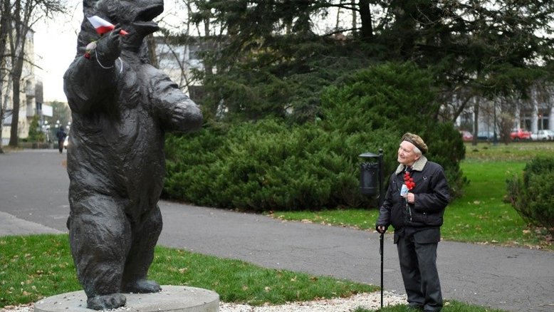 Um 'urso soldado' da Segunda Guerra Mundial, heroi de uma animação