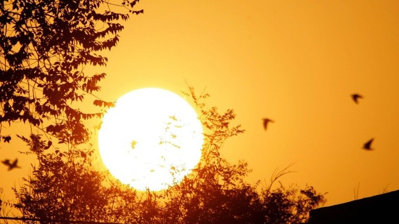 Ser uma pessoa diurna ou noturna pode estar relacionado aos genes, diz estudo