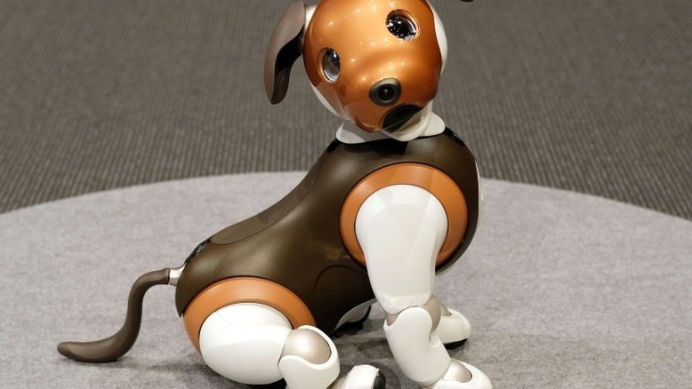 Sony lança um 'robocão' de guarda residencial