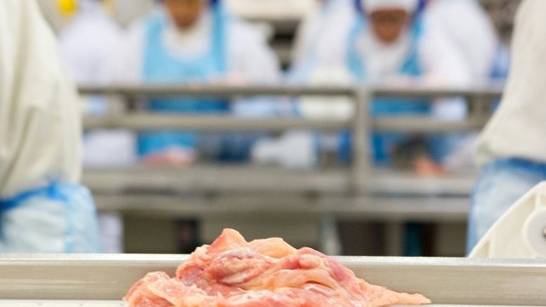 China anuncia tarifas antidumping ao frango do Brasil por cinco anos