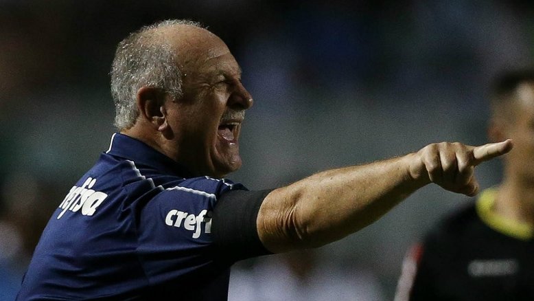 Divulgação/SE Palmeiras/Cesar Greco