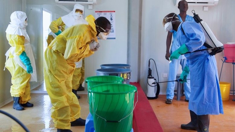 Descobrem anticorpo fundamental para futura vacina contra ebola