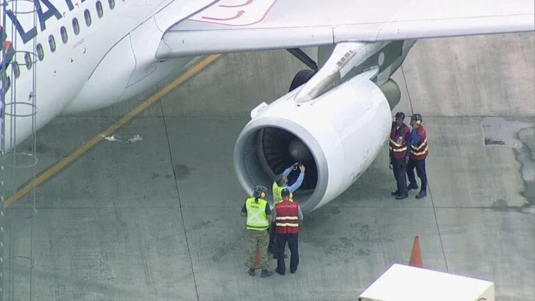Avião da Latam retorna ao aeroporto de Brasília após colisão com pássaro