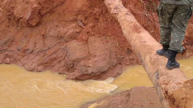 Divulgação / Polícia Ambiental