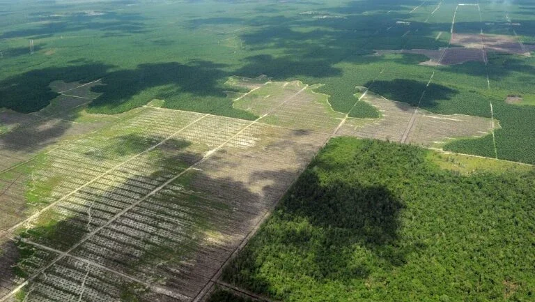 Humanidade, vítima de sua ação destrutiva sobre a natureza