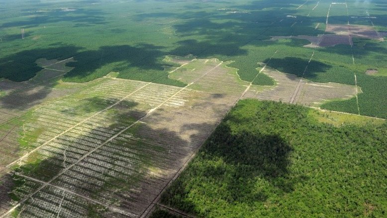 Humanidade, vítima de sua ação destrutiva sobre a natureza