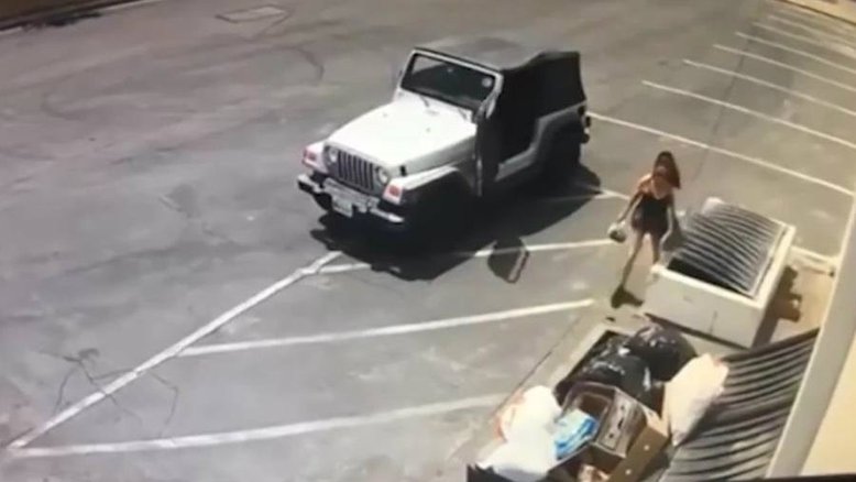 Vídeo: Mulher joga filhotes de cachorro no lixo durante festival de música nos EUA