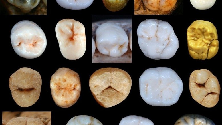 Humanos modernos e neandertais se separaram muito antes do que se pensava