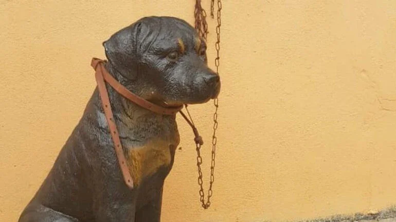 Divulgação/Polícia Militar do Meio Ambiente