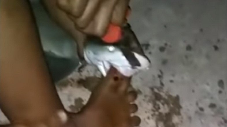 Reprodução/YouTube