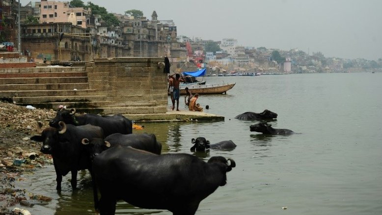 Indiano desaparece no Ganges durante show de ilusionismo