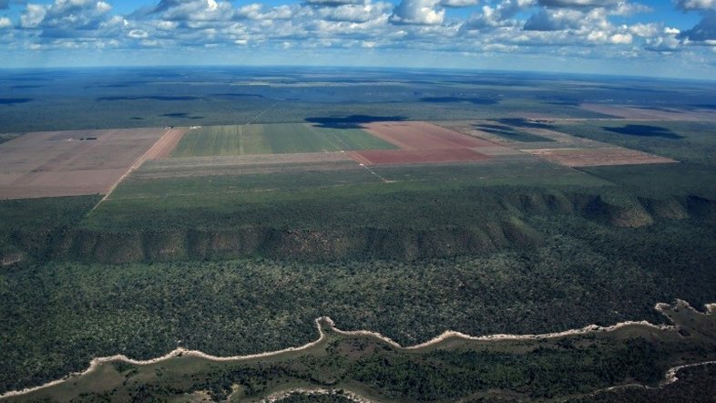 Monoculturas tomam lugar do Cerrado e ameaçam comunidades no Brasil