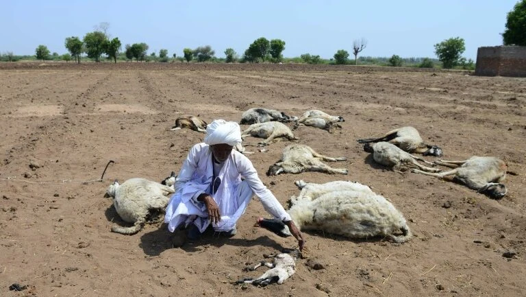 Onda de calor deixa 78 mortos na Índia