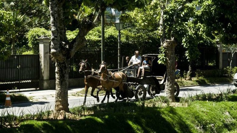 Divulgação/Secretaria de Cultura do RJ