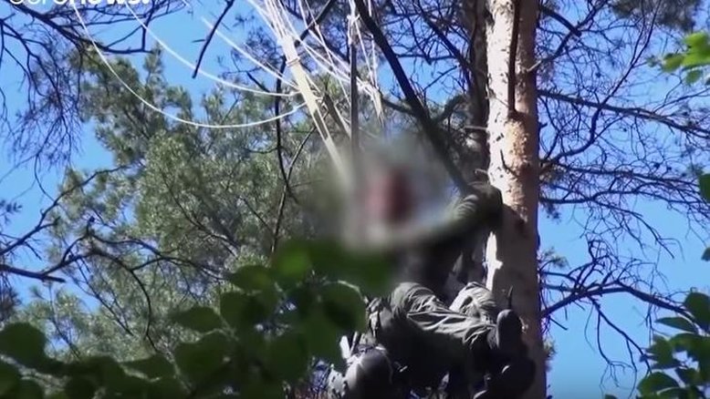 Após colisão de caças, piloto é achado em árvore