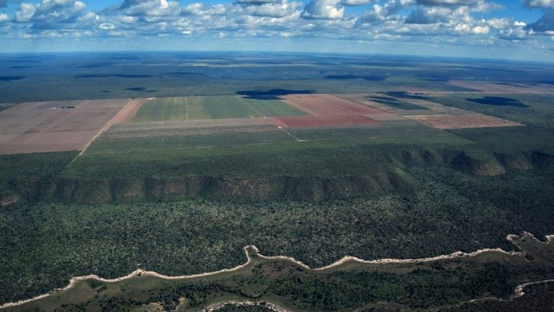 Desmatamento do cerrado aumentou na Bahia e Piauí
