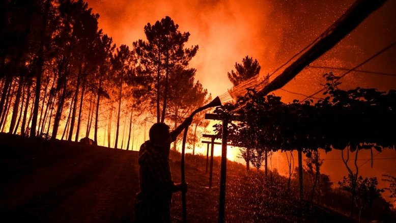 Portugal mobilizado para combater grande incêndio